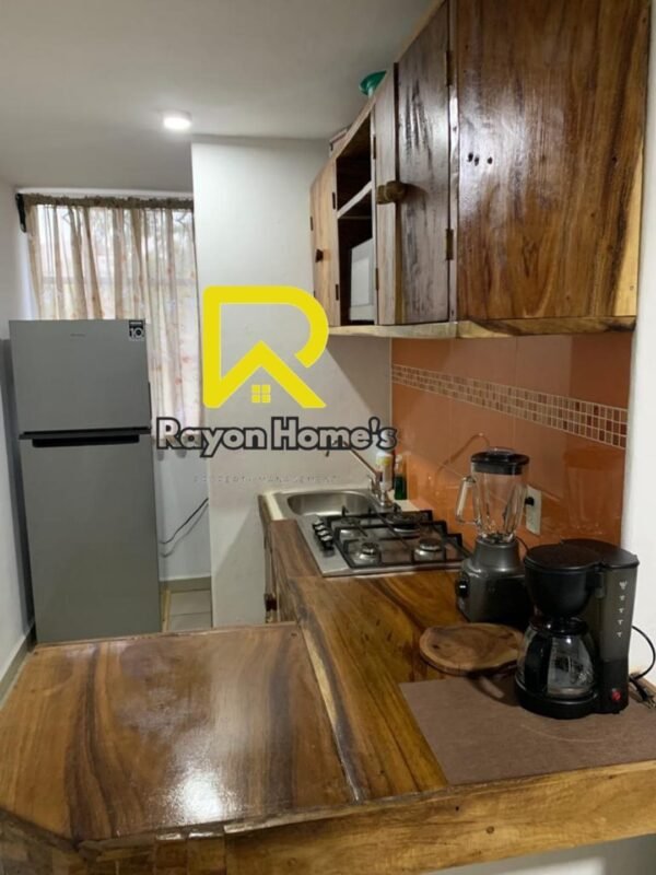 Furnished apartment for rent per month in Huatulco Oaxaca!! (Copy) - Image 6